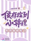 侯府捡到小锦鲤,全京城都酸了